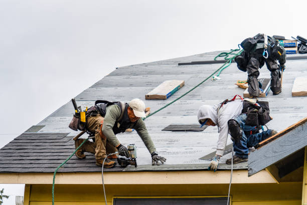 Professional Roofing technician working in Peck, ID